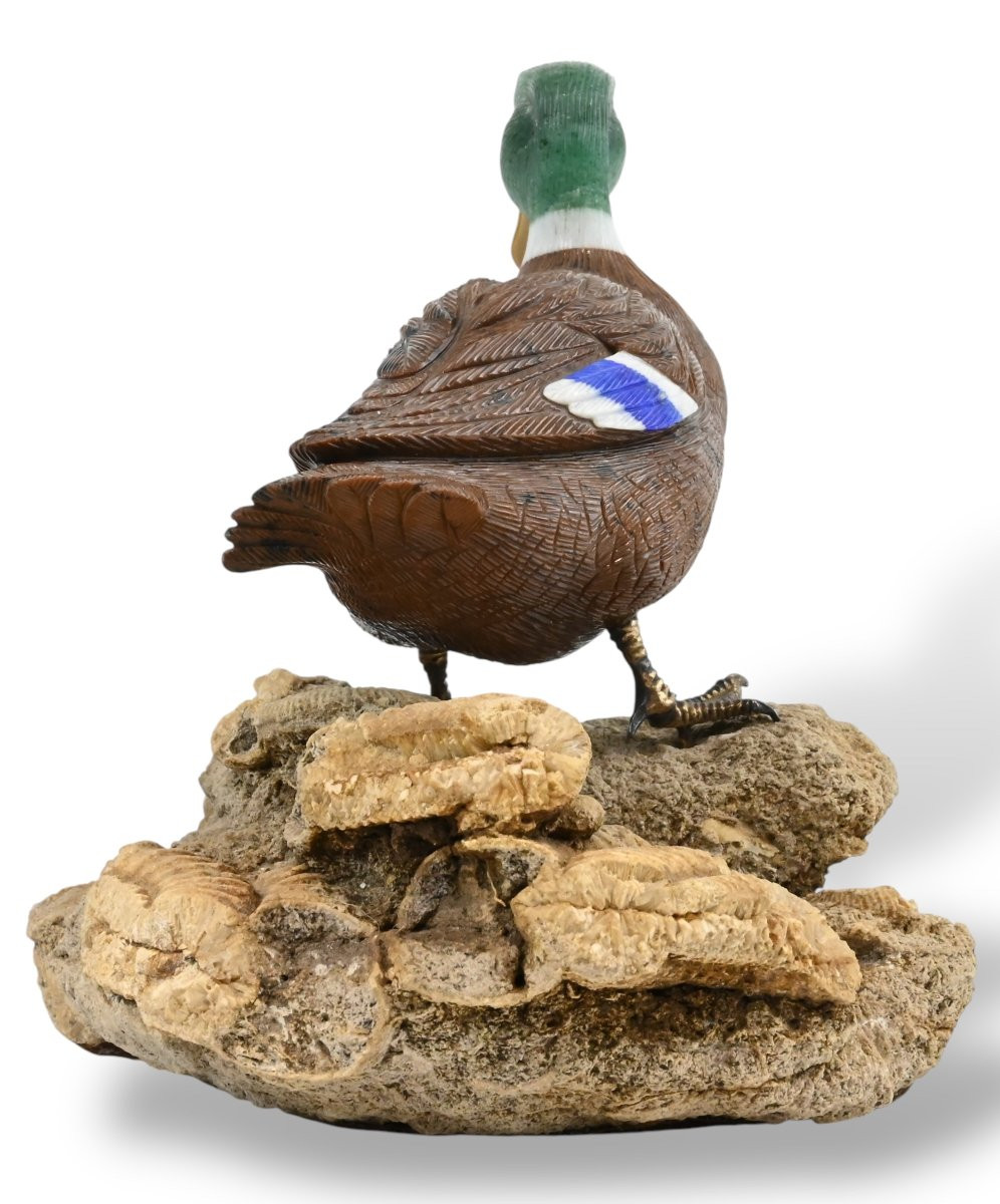 Hard Stone Duck On Rock With Fossil Shells - Switzerland - 20th Century-photo-2